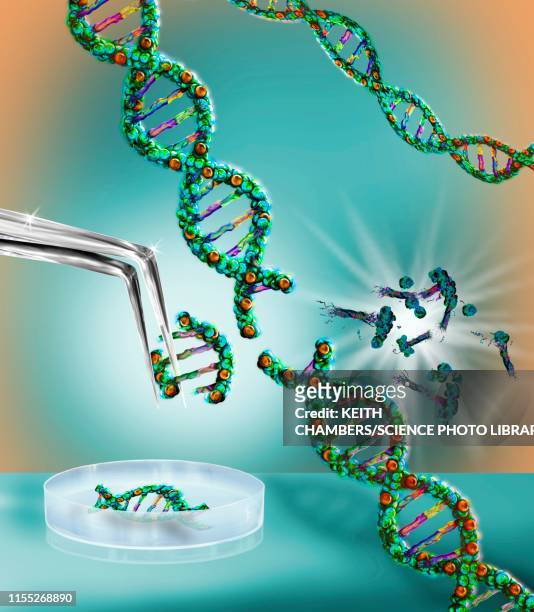 genetic engineering, conceptual illustration - crispr stock illustrations