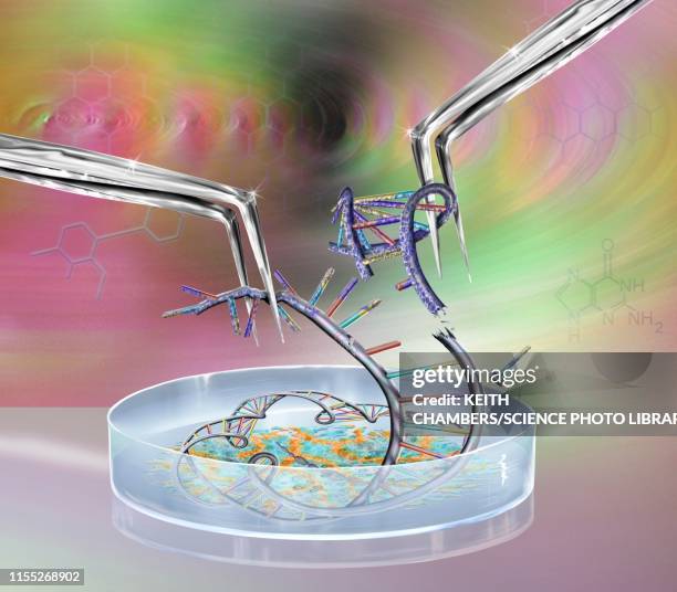 genetic engineering, conceptual illustration - biochemistry stock-grafiken, -clipart, -cartoons und -symbole