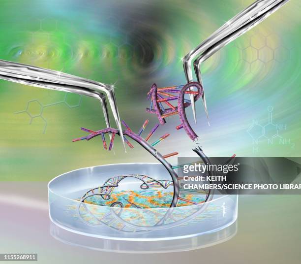 genetic engineering, conceptual illustration - crispr stock-grafiken, -clipart, -cartoons und -symbole