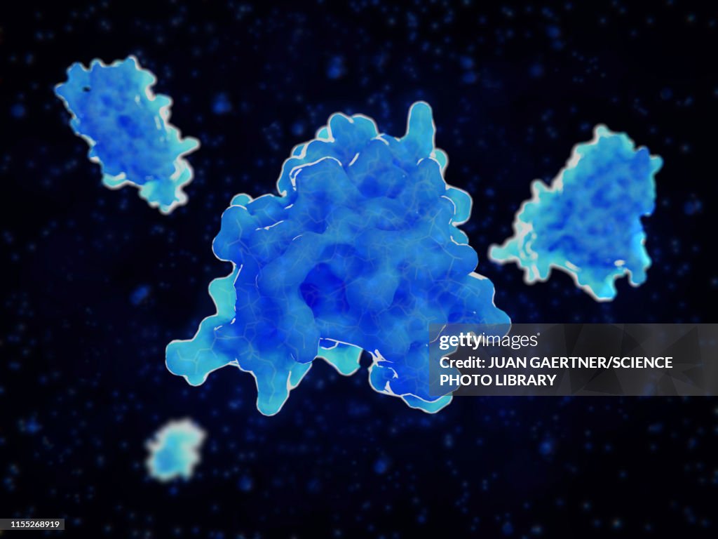 Interleukin 4 cytokine molecules, illustration