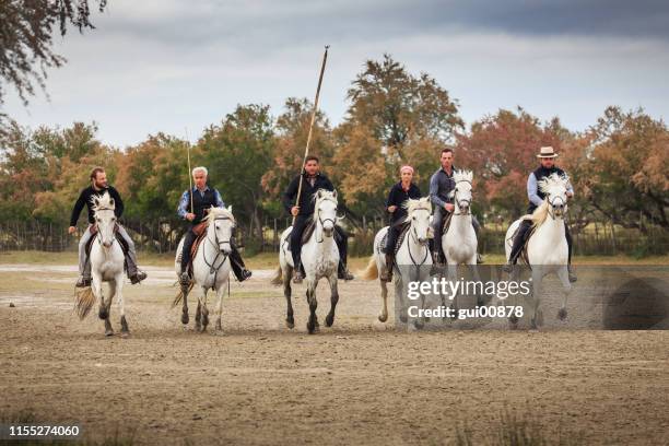 gardiens et leurs chevaux en camargue - camargue photos et images de collection