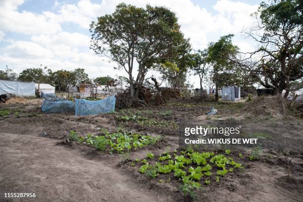 Photo shows a vegetable garden at the Mandruzi Resettlement area on July 12, 2019 in Dondo District. Internally Displaced people were resettled to a...