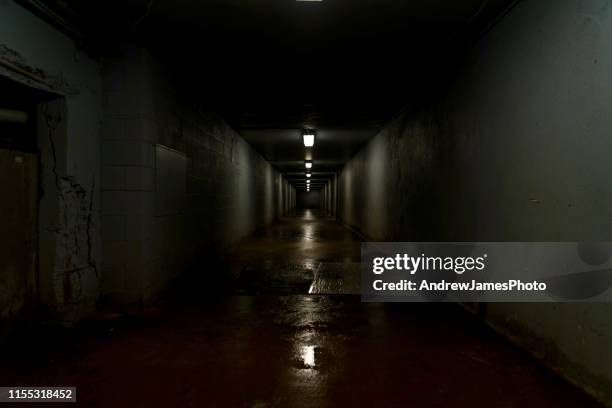 scary hallway - fantasma fotografías e imágenes de stock