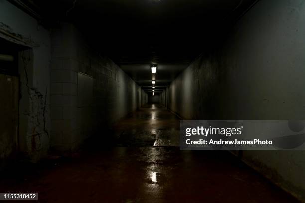 scary hallway - spooky street stock pictures, royalty-free photos & images