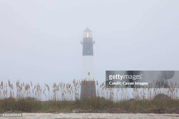 lighthouse at foggy morning, tybee island, usa - tybee island bildbanksfoton och bilder