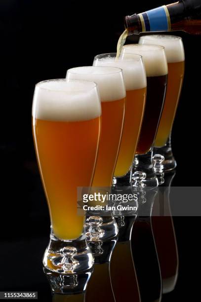 pilsner beer - ian gwinn stock pictures, royalty-free photos & images