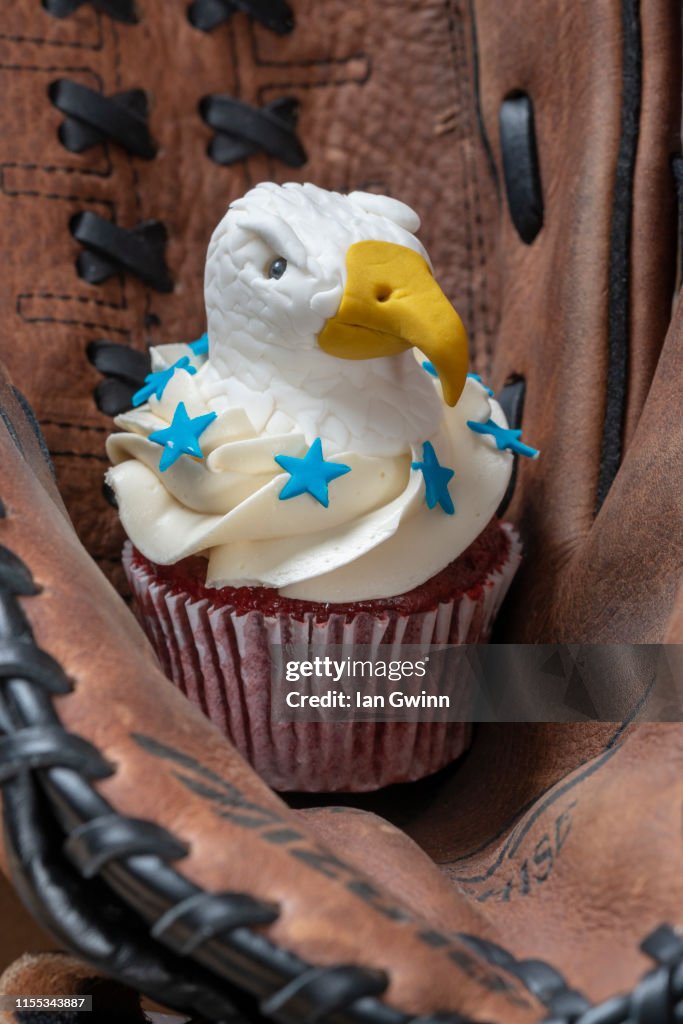 Bald Eagle Cupcake