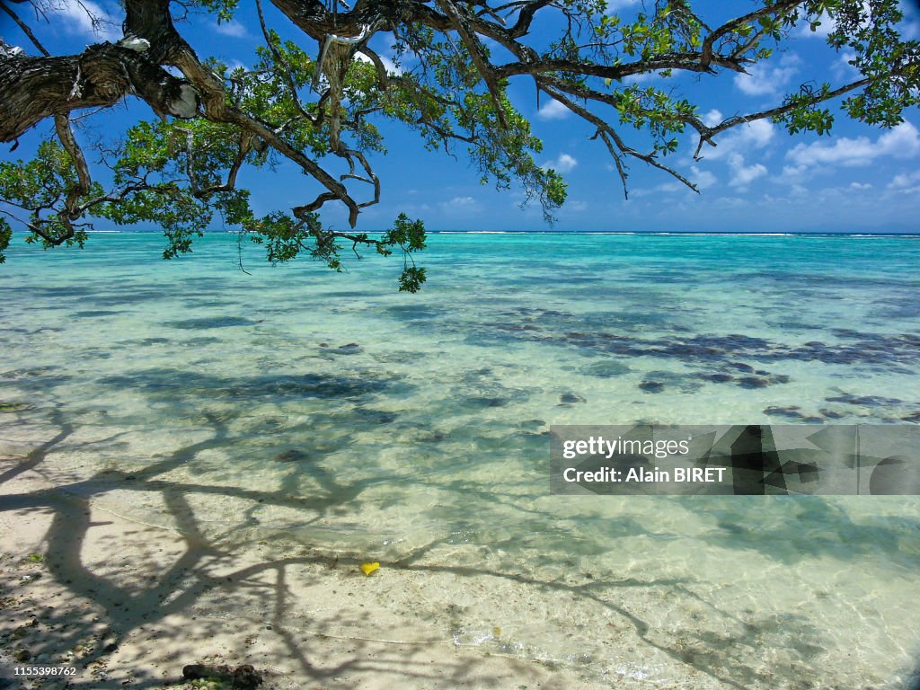 Paysage de Marie-Galante (2).