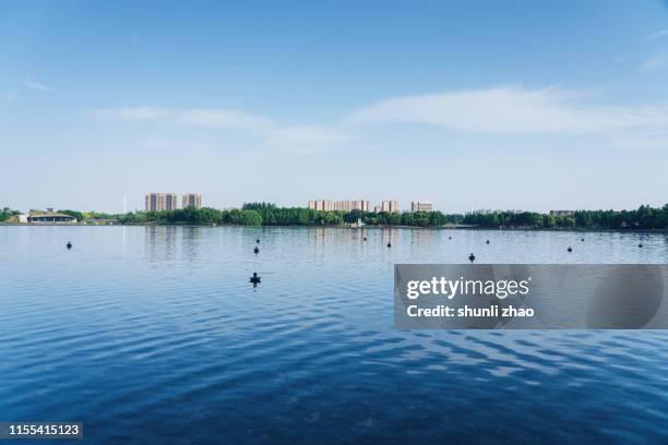 a quiet lake - cirrus stockfoto's en -beelden