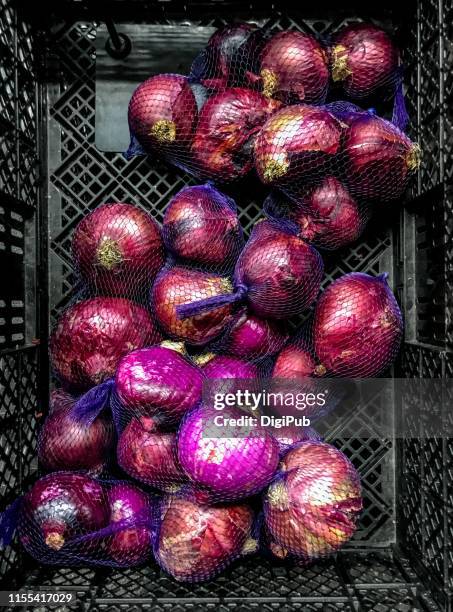 “early red” onions in mesh bags sold on roadside in the night - red onion stockfoto's en -beelden