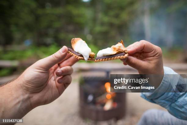 couple toasting with their s'mores over campfire. - marshmallow stock pictures, royalty-free photos & images