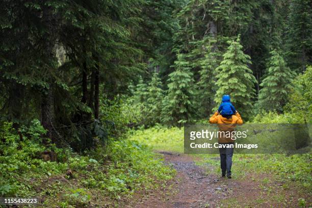 father carries son on his shoulders during a hike through the forest. - wandern regen stock-fotos und bilder