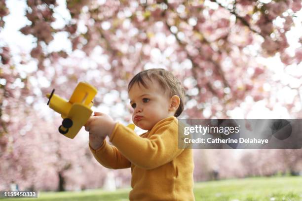 a 2 years old boy playing with a plane in a flowered park - 2 3 years foto e immagini stock