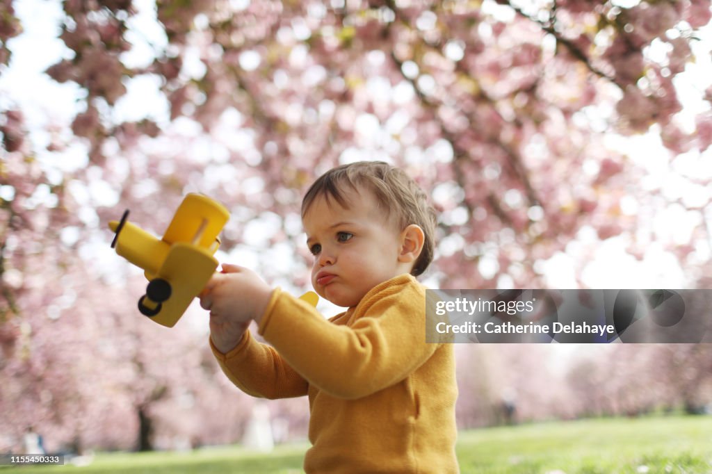 A 2 years old boy playing with a plane in a flowered park