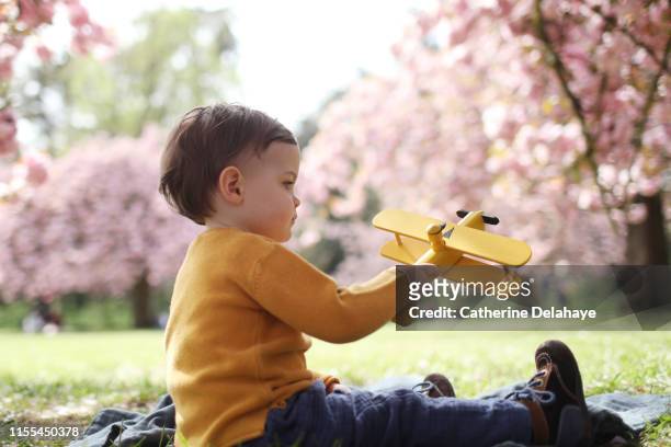 a 2 years old boy playing with a plane in a flowered park - 2 3 years stock-fotos und bilder