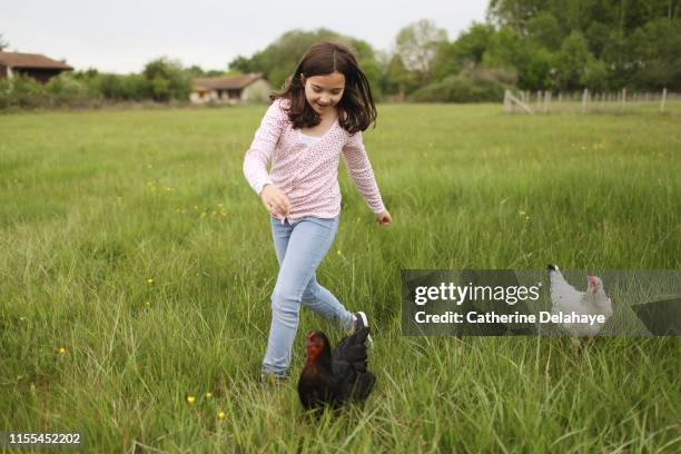 a 10 years old girl running with hens in the countryside - 10 11 years ストックフォトと画像