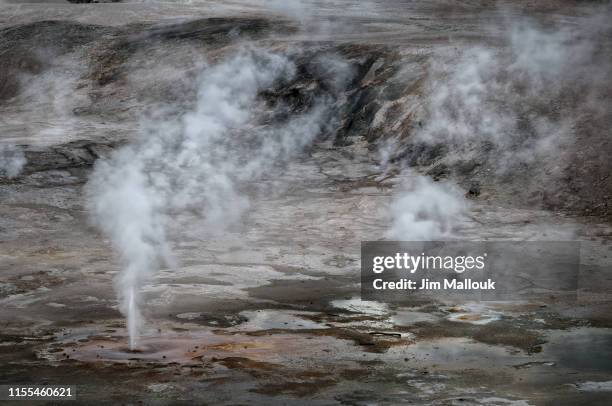 geyser basin at yellowstone national park - geyser stock pictures, royalty-free photos & images