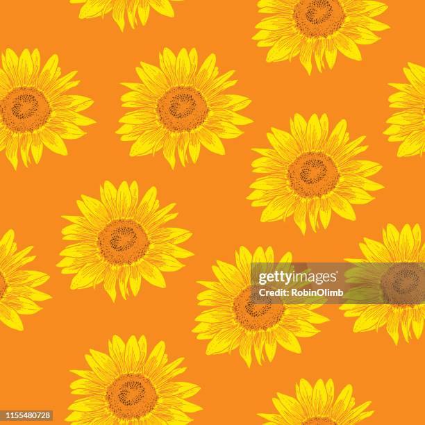 sunflowers seamless pattern - sunflower stock illustrations