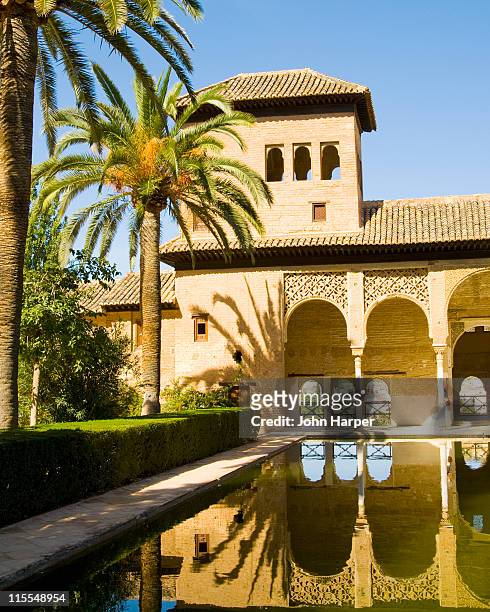 torre de las damas, alhambra palace, granada - alhambra and granada stock pictures, royalty-free photos & images