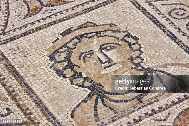 the labours of hercules, floor mosaic, roman archeological site in volubilis, morocco - orpheus stock pictures, royalty-free photos & images