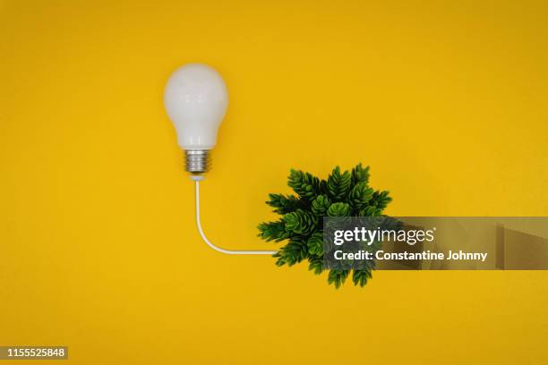light bulb and green plant. green energy concept. - johnny stark stock pictures, royalty-free photos & images