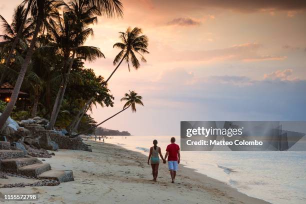 adult couple hand in hand on beach at sunset, thailand - romantic holiday stockfoto's en -beelden