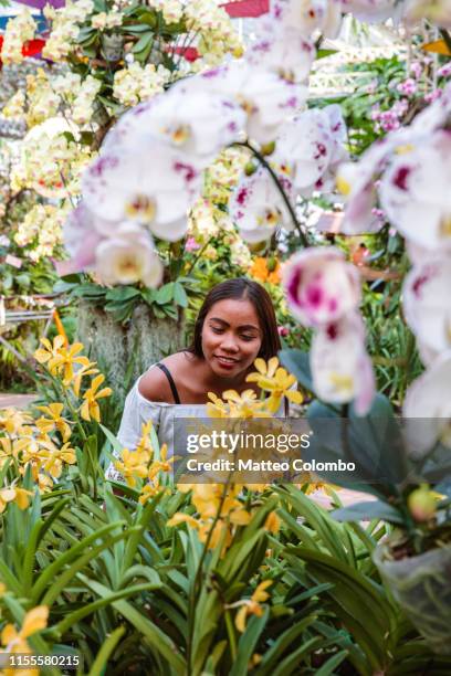 asian woman surrounded by orchids, chiang mai, thailand - botanischer garten stock-fotos und bilder