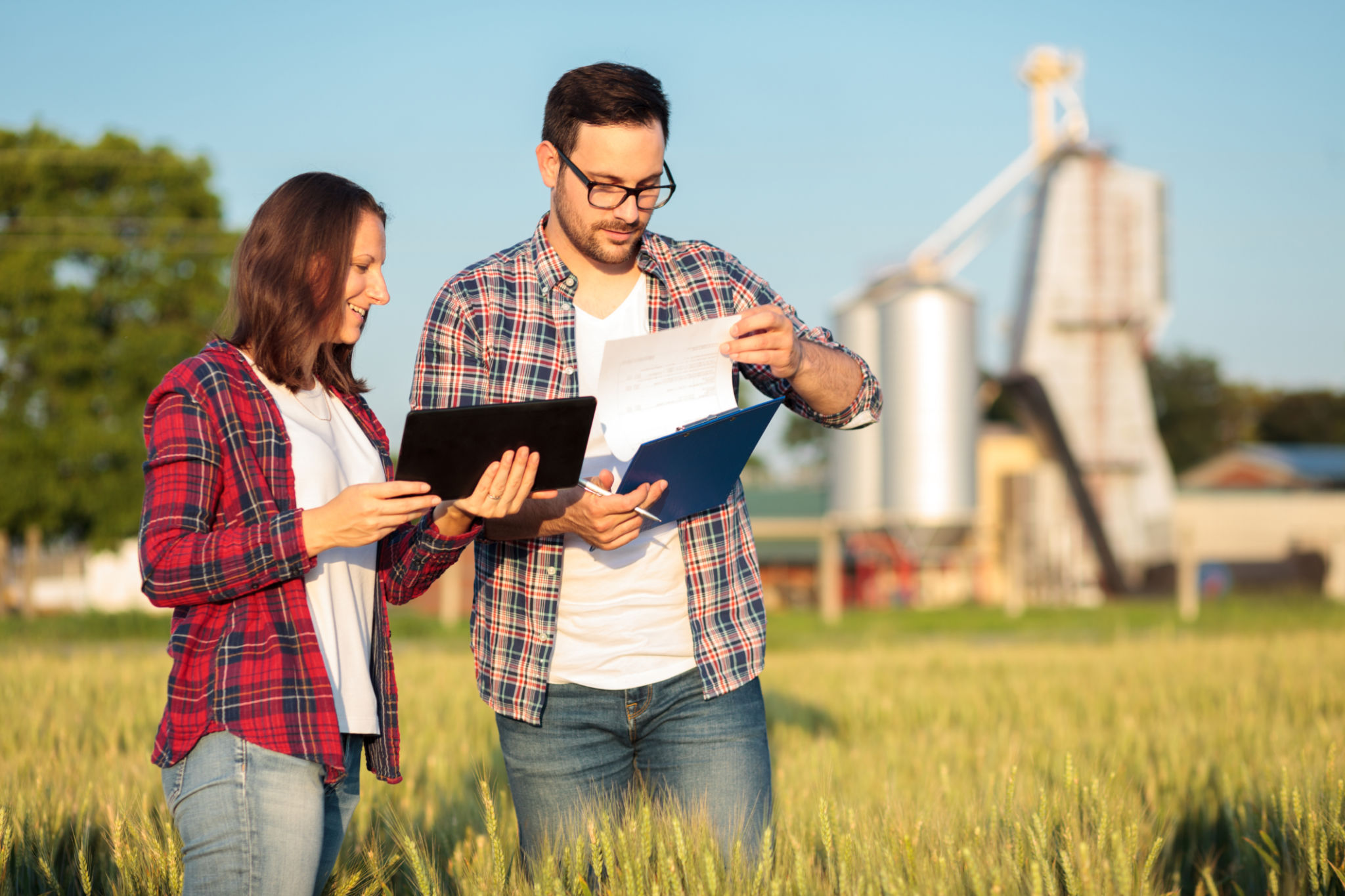 agricultural consulting