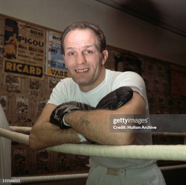 Henry Thomas Boxer Photos and Premium High Res Pictures - Getty Images