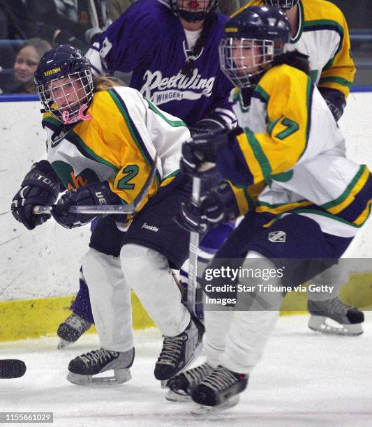 Mlevison@startribune.com 11/08/07 Assign#00000339A- The Rosemount girls hockey team has a plethora of young players in their lineup this season. IN...