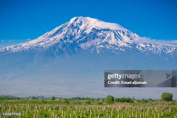 mount ararat, armenia - mt ararat stock pictures, royalty-free photos & images