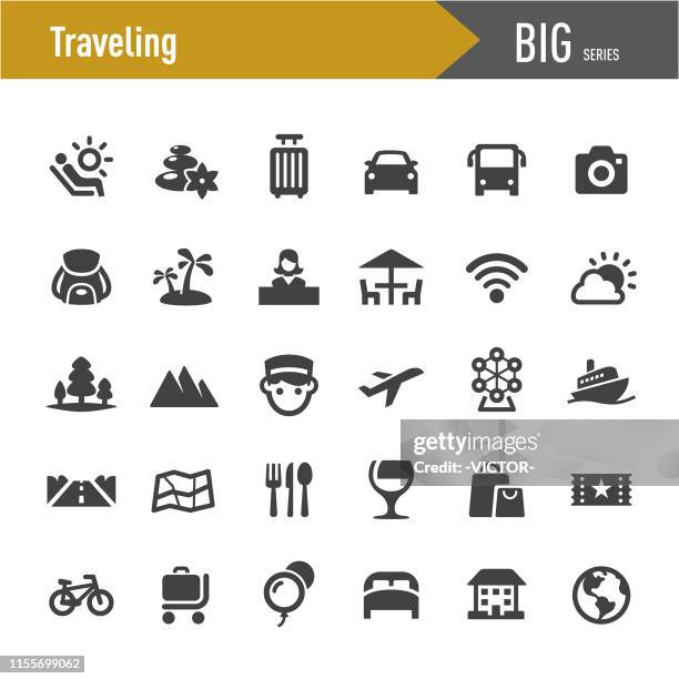 traveling icons - big series - security check stock illustrations
