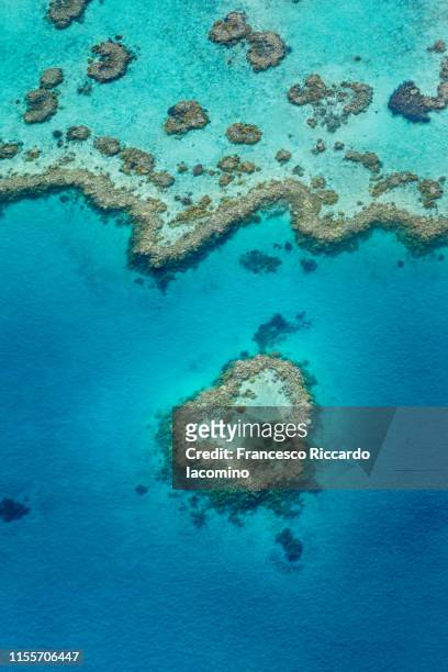 heart reef, great barrier reef from above, queensland, australia. - great barrier reef aerial ストックフォトと画像