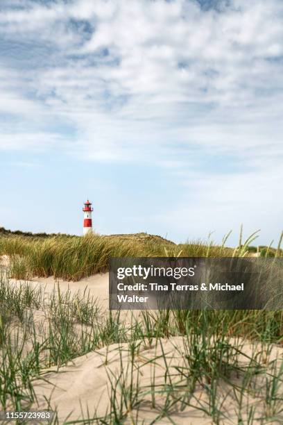 lighthouse on the beach of sylt. "ellenbogen" - ellenbogen stock pictures, royalty-free photos & images