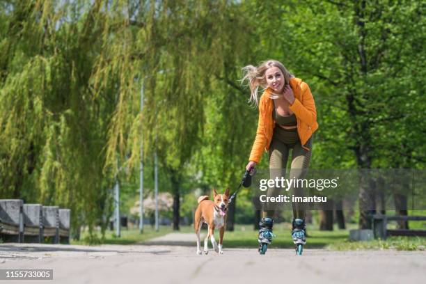 犬と一緒にローラースケートでローリング若い女性 - basenji ストックフォトと画像