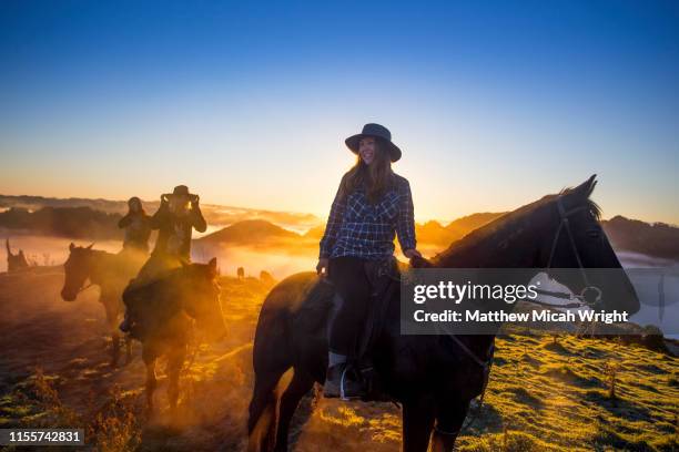 a group of horse trekkers ride to the summit to catch the sunrise. - whanganui stock pictures, royalty-free photos & images