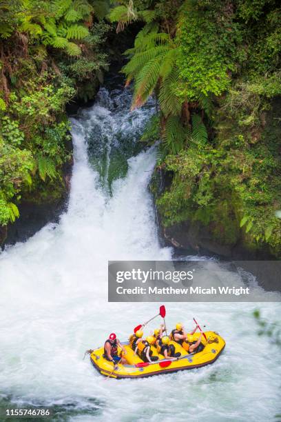 whitewater rafting down the kaituna river in rotarua. the okere falls is one of the largest commercially rafted waterfalls in the world. - white water rafting stock pictures, royalty-free photos & images