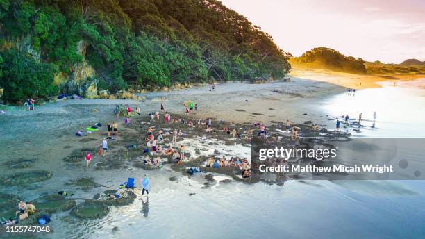 new zealand's famed hot water beach is a must stop for many after leaving auckland. holes are dug into the beach and hot geothermal water creats natural spa pools. - hot spring stock pictures, royalty-free photos & images