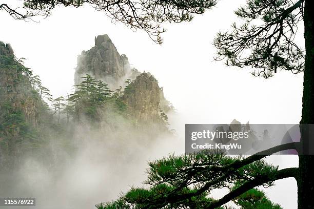 beauty in nature - huangshan bildbanksfoton och bilder