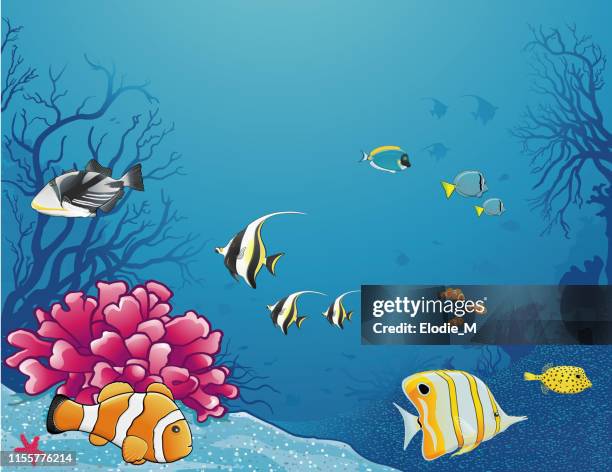 ilustraciones, imágenes clip art, dibujos animados e iconos de stock de vida marina/vida bajo el mar - butterflyfish