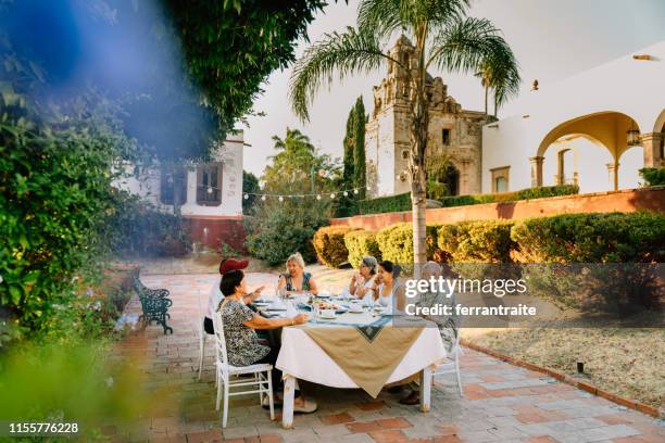 senior vrienden op garden party reunion - foodie stockfoto's en -beelden