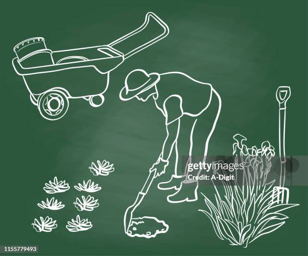 attentive gardener chalkboard - mature woman hobby stock illustrations