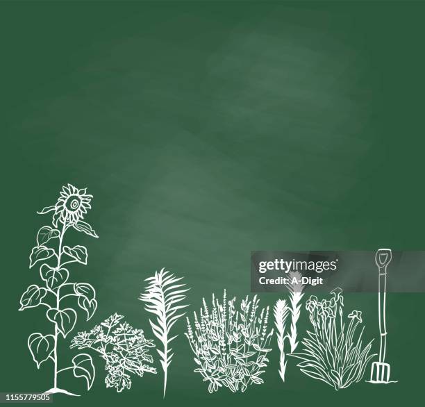 landscaping plants chalkboard - iris flower stock illustrations