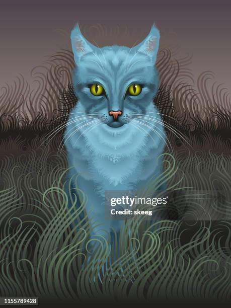 blue cat - cat outside stock illustrations