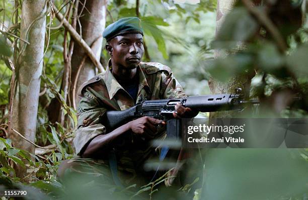 Sierra Leonian soldier, who has been trained by British troops, guards the border of Liberia July 22, 2002 on the eastern border of Sierra Leone....