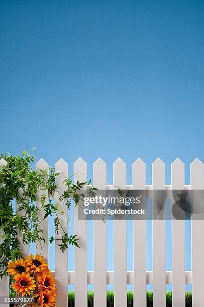 white picket fence with vines and flowers - picket fence stockfoto's en -beelden