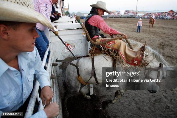 Beefalo Rodeo LEVISON * mlevison@startribune.com June 25, 2010 - News Photo - Getty ...