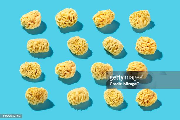 a variety of natural sea sponges - poroso foto e immagini stock