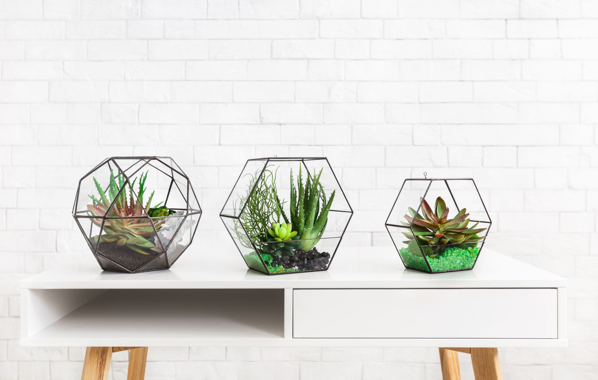 custom terrarium design
