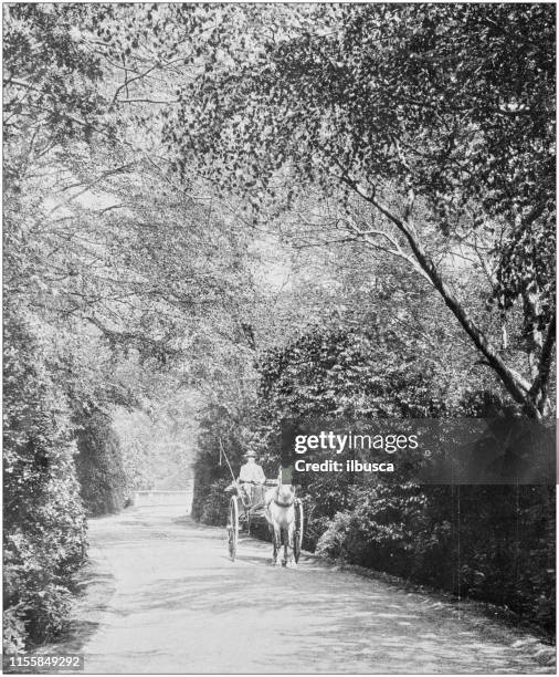 antique vintage black and white photo: british countryside - english farmhouse stock illustrations